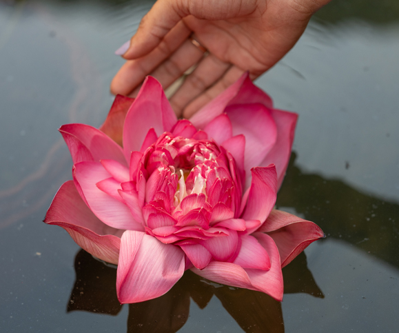 Healing and Beyond blog